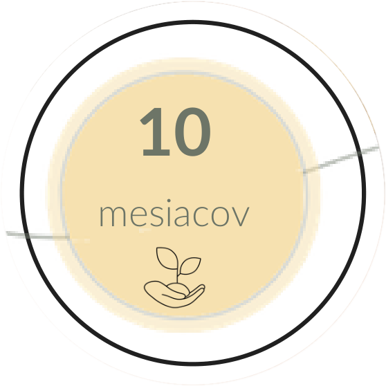 od 10 mesiacov