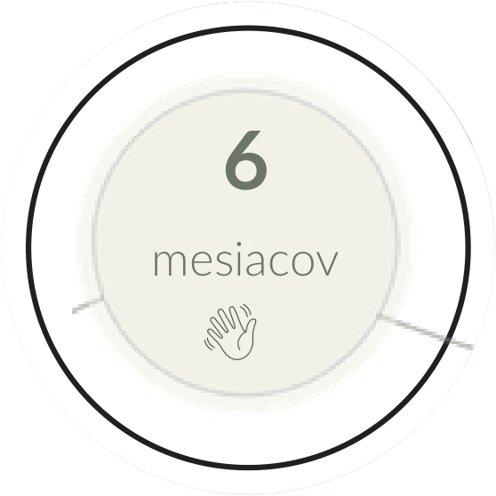 od 6 mesiacov